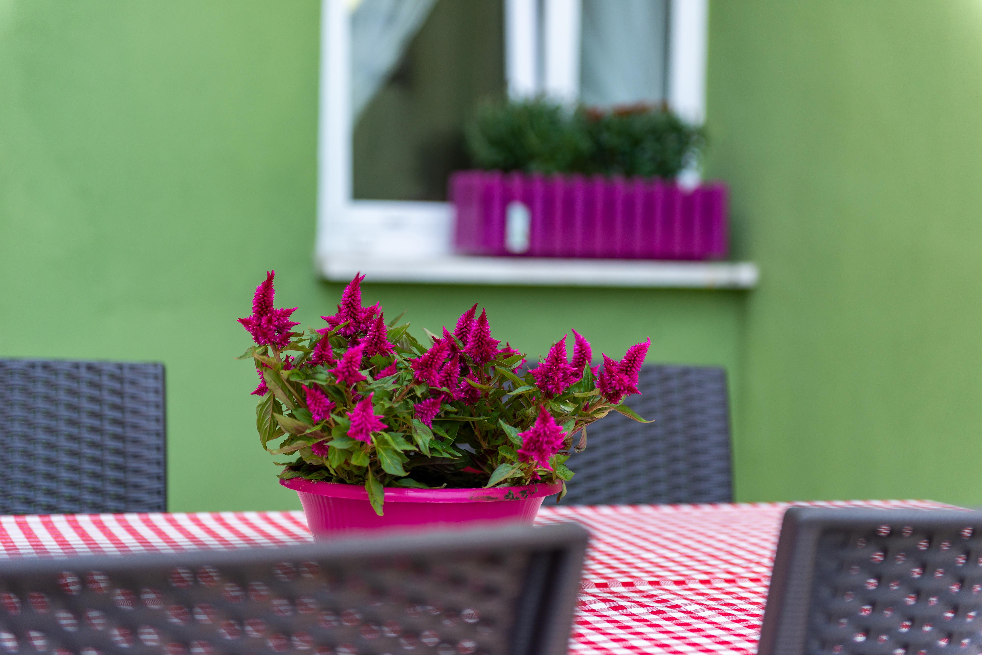 Dualis Hotel Istanbul Ngoại thất bức ảnh